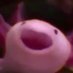 Average life enjoyer (@ecephi) Twitter profile photo Average life enjoyer (@ecephi) Twitter profile photo