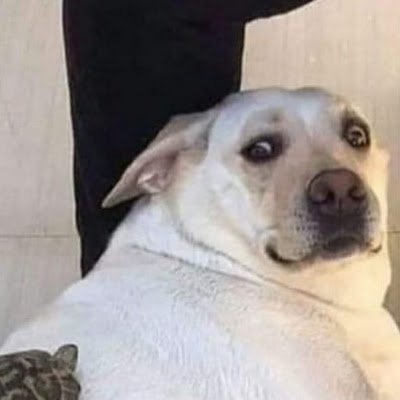 CabulosoHamert's profile picture. Kk