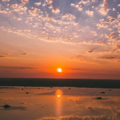 nab_joel's profile picture. 100K