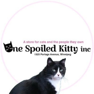 OneSpoiledKitty Profile Picture
