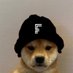 Shaykoz (@shaykozrl) Twitter profile photo Shaykoz (@shaykozrl) Twitter profile photo
