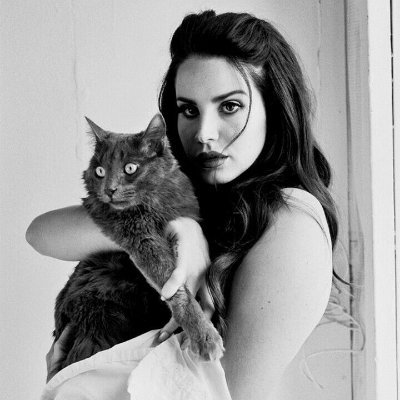 vatadelosgatos's profile picture. Cat lover