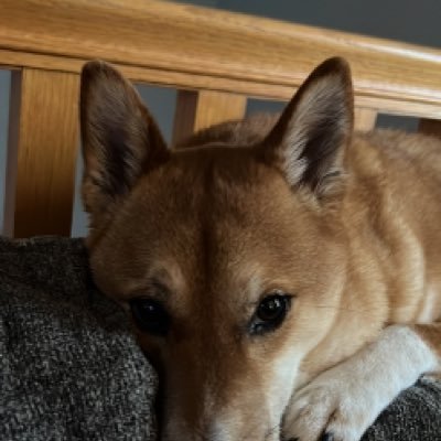 typhelps4's profile picture. 