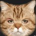 The Great Catsby (@supercatface) Twitter profile photo The Great Catsby (@supercatface) Twitter profile photo