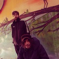 Stray Scene (@strayscene1) 's Twitter Profile