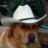 Cloud π§β₯οΈ (@cloudybunzz) 's Twitter Profile