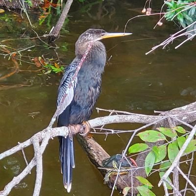 KeelanMurphy12's profile picture. 