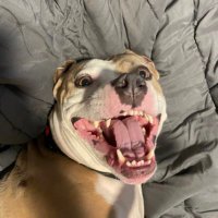 Hayywire (@itshayywire) 's Twitter Profile Photo Hayywire (@itshayywire) 's Twitter Profile Photo
