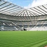 Gobonthetyne1's profile picture. Newcastle United News, Transfer News and anything else NUFC Related Also I'm not claiming to be a ITK Account I tweet what I hear from sources
