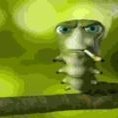 1F1zzy's profile picture. 