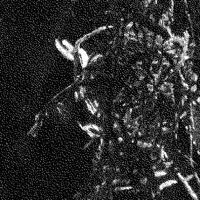 Photographer & educator from Misiones, Argentina 🌿

My first NFT collection on ExchangeART here: https://t.co/iit9nob14e