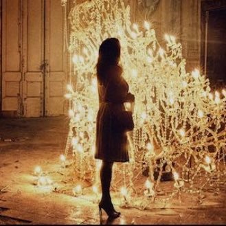 DiProcrypto's profile picture. In blockchain I trust