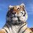 qq2239820752's profile image