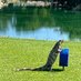 Jake1quokka (@jeffjac88767545) Twitter profile photo Jake1quokka (@jeffjac88767545) Twitter profile photo