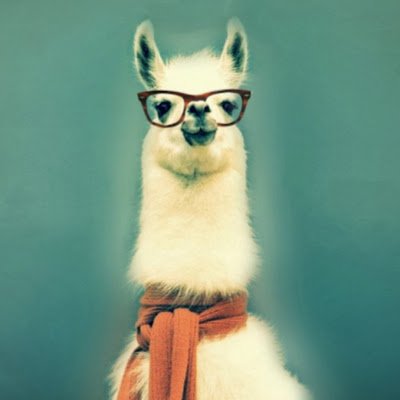 Nofurbusiness2's profile picture. 