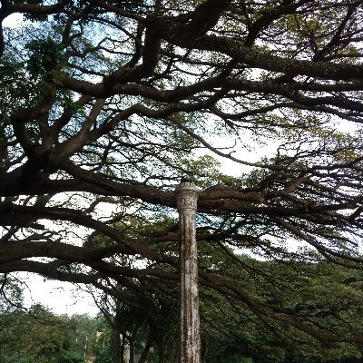 AdityaS35343606's profile picture. 