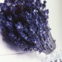 SONGYI PARK - @songyi918 - Twitter