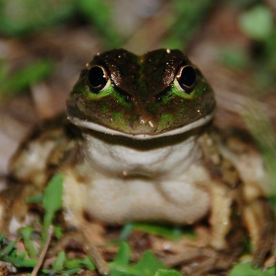 Official Twitter feed of Commonwealth Environmental Water Holder, Dr. Simon Banks, working for the health of our waterways.