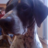 Mr Nam (@mrnamnam) 's Twitter Profile Photo