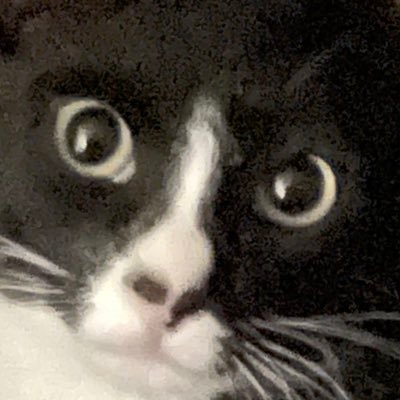 BubbleC02's profile picture. mEoW