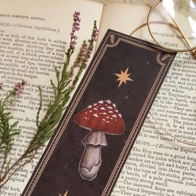 Sharing abandoned bookmarks found in used books 📖