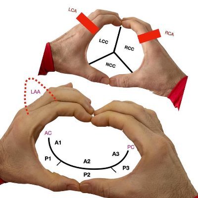 CardiologyPass1 Profile Picture