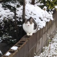 ならなら (@junt3333) Twitter profile photo