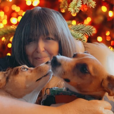 PatHarm422's profile picture. Steelers, Democrat💙🇺🇸 Grandma of 12 beautiful grandchildren, happily married. No DM’s please