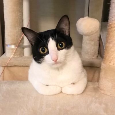 8NmTIIVxkUYChOK's profile picture. 