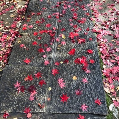 Salyu on Twitter: