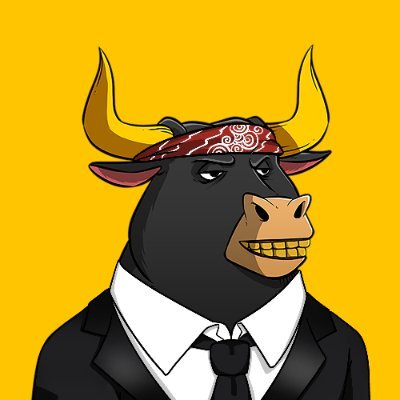 The Bull Society 🔶🐂 Profile
