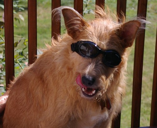 marysuekelly's profile picture. 