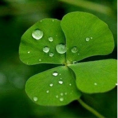 sowoni71's profile picture. #돌나라