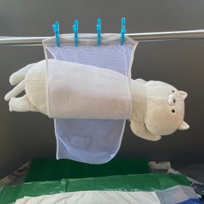 鈴かすてらさんのプロフィール画像