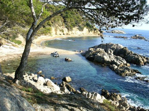 marroyopa's profile picture. per aspera ad astra