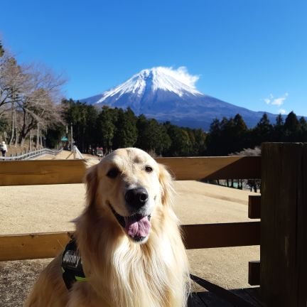 Sunnyとの生活🐶   
遠藤愛犬学校出身                                        2019年  5月20日生まれ☺♂