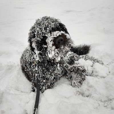 micahlaskin's profile picture. 