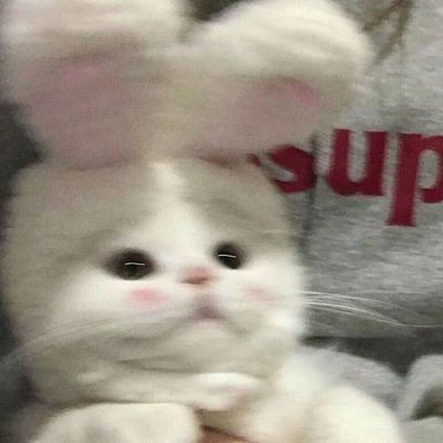 #EUNWOO; 같이 갈래?✨ || sbt + rant acct || @sbtfordes backup acc