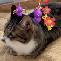 凛@ピクミンとモンハンと猫🐈 (@rinrin2x2x2rin) Twitter profile photo