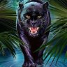Pantherkatze's profile picture. 