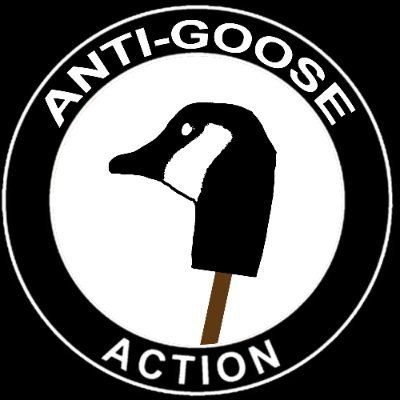 AntiGooseAction Profile Picture