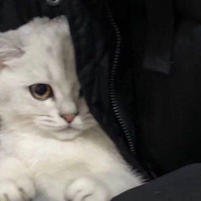 Delusion77777's profile picture. 