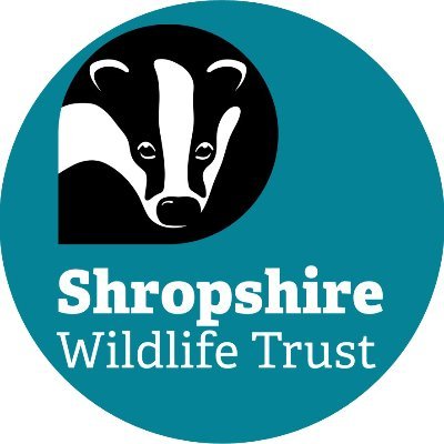 Your local wildlife conservation charity. We've been protecting wildlife in Shropshire for over 60 Years.