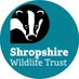 Shropshire Wildlife Trust (@ShropsWildlife) Twitter profile photo