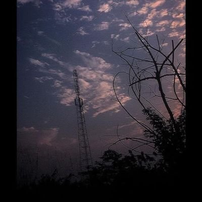 lebca14's profile picture. XIV. #🥦