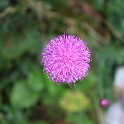 RodneySlator's profile picture. Difficult to understand