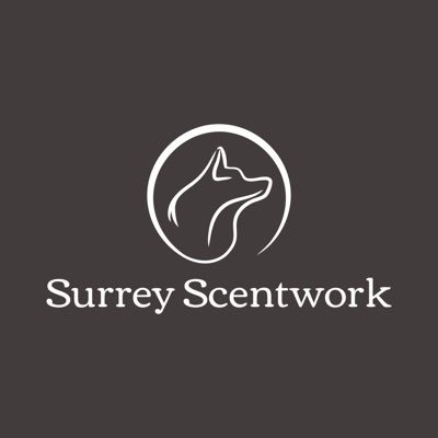 Surrey Scentwork offers various workshops and classes throughout Surrey and the surrounding areas giving you the opportunity to learn Scentwork with your dog.