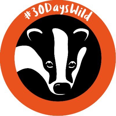 The @WildlifeTrusts challenge you to spend #30DaysWild this June - for your health, wellbeing, for wildlife & for the planet 💚