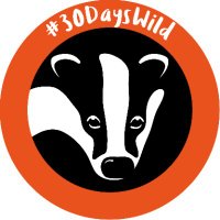 #30DaysWild from The Wildlife Trusts (@30dayswild) 's Twitter Profile Photo #30DaysWild from The Wildlife Trusts (@30dayswild) 's Twitter Profile Photo