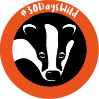 #30DaysWild from The Wildlife Trusts(@30DaysWild) 's Twitter Profile Photo